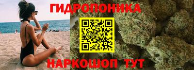 Альфа ПВП Владикавказ