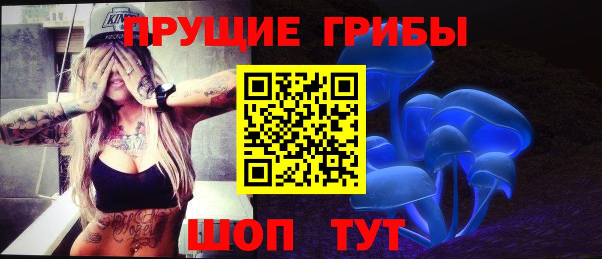 Псилоцибиновые грибы GOLDEN TEACHER  Вход с VPN  Верхняя Пышма  Галлюциногенные грибы мухоморы 